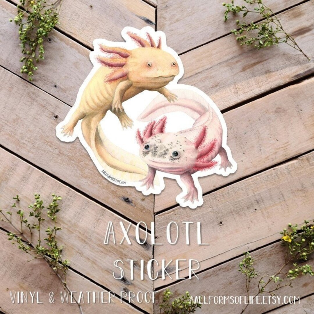 Axolotl Sticker, Cute Amphibian Sticker, Vinyl and Weatherproof ...