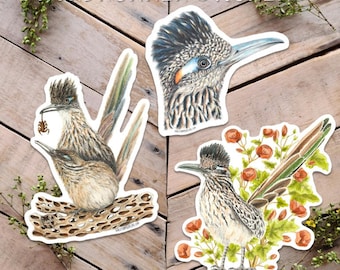 Roadrunner Sticker, Roadrunner Love, Mating birds, bird eye sticker, vinyl and weather proof sticker, desert bird art