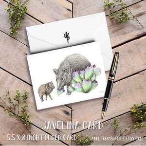 Sonoran Desert Wildlife Notecards, scientific illustration, nature cards, gecko greeting cards, Quail baby card, hummingbird, javelina card image 4