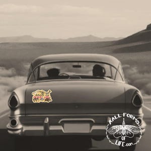 May include: A vintage car with a bumper sticker that reads "Brake for Desert Life." The sticker features a desert scene with colorful illustrations. The car is driving on a desert road.