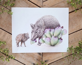 Javelina Family- Scientific Illustration, Desert Pig, prickly pear cactus, Mother and child, animal art, wildlife illustration Print, Sonora