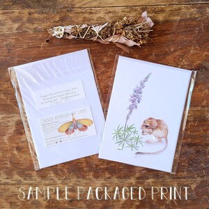 May include: A sample packaged print of a watercolor illustration of a kangaroo rat and a lupine flower. The print is packaged in a clear plastic sleeve with a white card backing. The card backing includes the artist's name and website information. The print is titled "Kangaroo Rat & Downs Lupine, 2019" and is signed by the artist.