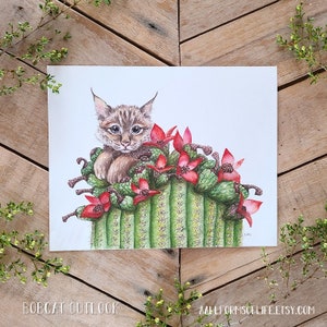 May include: A watercolor illustration of a bobcat peeking out from a cactus with red flowers. The bobcat is brown and white with green eyes. The cactus is green with red flowers. The background is white.