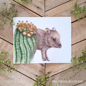 Javelina and Barrel Cactus Art Print, Natural Science Illustration, botanical wildlife art, Cute javelina, Baby Desert Animal, Desert Art