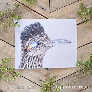 Roadrunner Glare Art- Scientific Illustration, Bird art, Desert bird, nature print, Roadrunner Art Print, Serious Bird Head, Colored Pencil