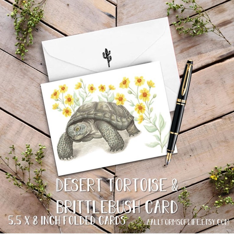 Desert Tortoise Card Pack with Sticker, Turtle Cards, Desert Turtle Art Notecards, Tortoise Greeting TortBrittlebush Card