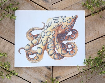 Blue Ringed Octopus - Scientific Illustration, Watercolor print, Sea Life, venomous octopus, nature art, Colorful Octopus Illustration