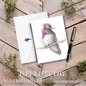 Sonoran Desert Wildlife Notecards, scientific illustration, nature cards, gecko greeting cards, Quail baby card, hummingbird, javelina card image 2