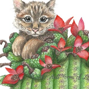 May include: A watercolor painting of a small, brown and black tabby cat peeking out from behind a cactus with red flowers. The cat has blue eyes and a sweet expression.