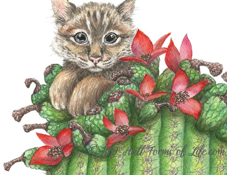 May include: A watercolor painting of a small, brown and black tabby cat peeking out from behind a cactus with red flowers. The cat has blue eyes and a sweet expression.
