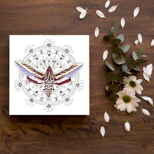 May include: A black and white mandala design with a colorful moth in the center. The moth has purple, red, yellow, and white wings. The mandala is surrounded by a white background.