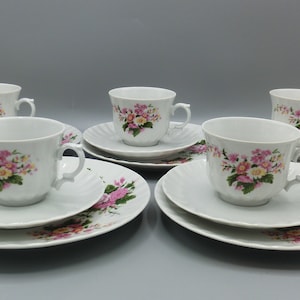 VINTAGE coffee service for 5 persons, flower pattern, rose, coffee cover, Wunsidel Bavaria, 5 place settings, white pink, collection cup, gift