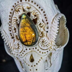 Skull Carving Nicole Bartkowiak | Made To Order- Real Roe deer with antlers carved flourish ornaments brown golden labradorite petals