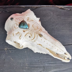 Engraved Sheep Skull with Labradorite Cabochons: Handmade Ornament Decor