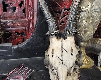 Engraved Roe Deer Skull Art: Aged Norse Pagan Decor
