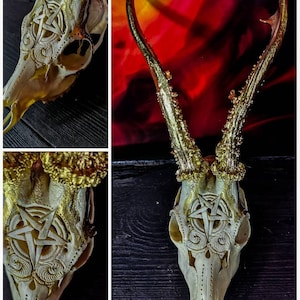 Made to order Roe deer skull engraved huge impressive pentacle 666 evil satan carving gift boyfriend girlfriend mother father buck led light