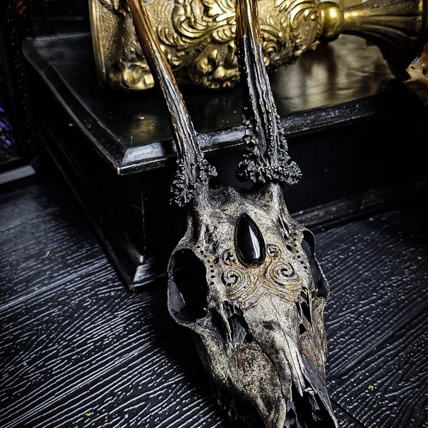 Engraved Roe Deer Skull Art: Black Onyx Cabochon, Golden Accents