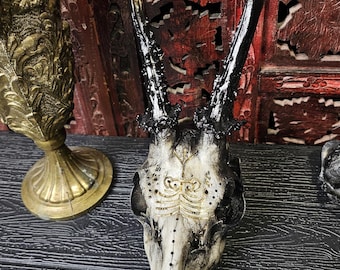 May include: A white deer skull with black and gold accents. The skull is mounted on a black surface and has intricate details carved into the bone.