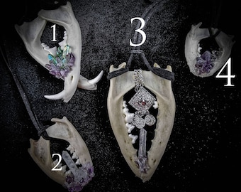 Jawbone Pendant Necklace: Fox, Mink Bone & Crystal