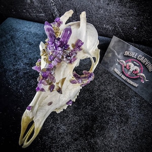 Amethyst & Labradorite Roe Deer Skull Lamp: Vulture Culture Art