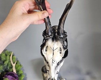 Arte de cráneo de corzo grabado: decoración pagana nórdica, hecho a medida.
