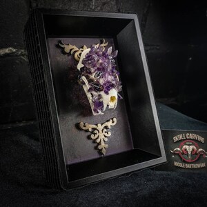 May include: A small animal skull is covered in amethyst crystals and displayed in a black shadow box with gold accents. The box has a label that reads "Skull Carving Nicole Bartkowiak".