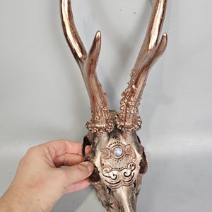 Könnte beinhalten: Ein dekorativer Hirschschädel mit großen Geweihen. Der Schädel ist in einem metallischen Bronzeton bemalt und weist aufwendige Schnitzereien und ein zentrales Design auf. Das Geweih hat einen helleren Bronzeton.