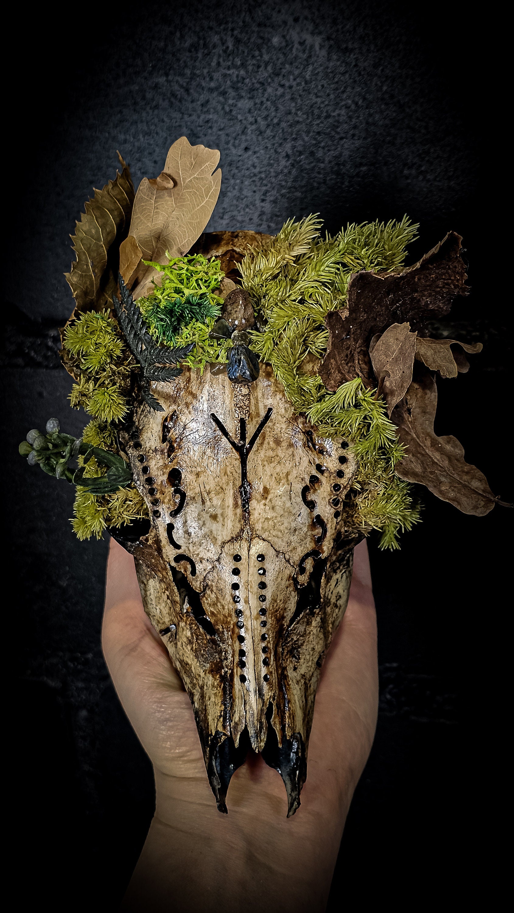 Affordable Real Animal Skull Art Roe Deer With Engraved Design and