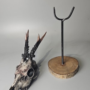 May include: A white deer skull with black antlers and copper accents on the antlers and skull. The skull is on a wooden stand with a black metal stand.