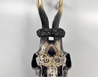 高品質！ ナイトアノール 頭骨 彫刻されたノロジカの頭蓋骨アート：パープライトカボション、ゴールド