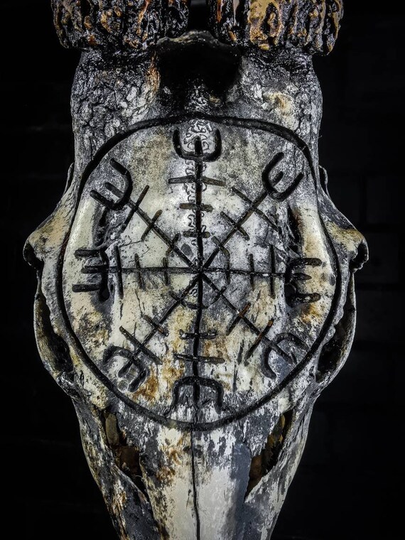 あ*の様 archive Roen scull design real leat Real Roe Deer Skull Nordic Runes Lighting - Handmade Gothic