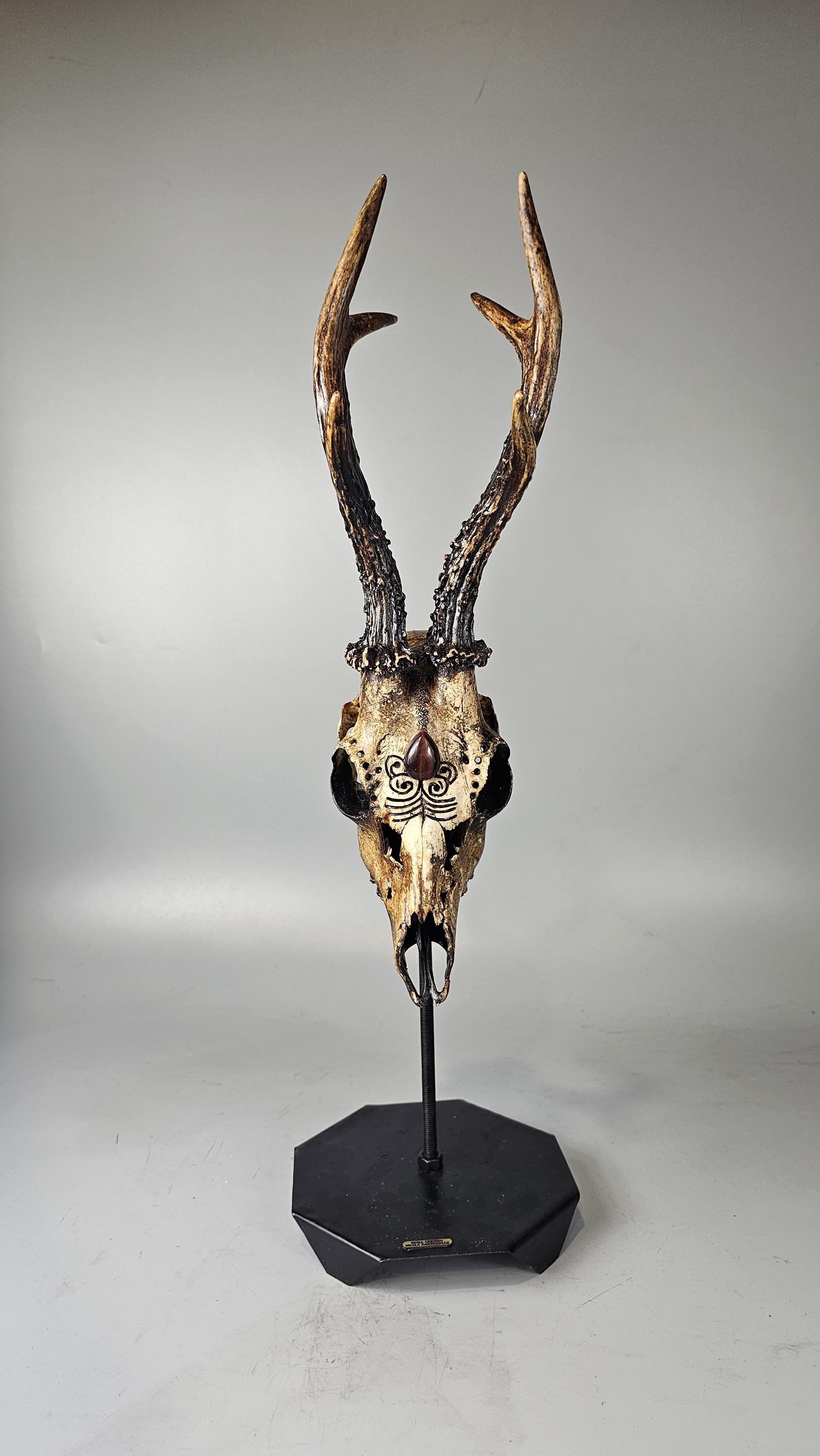 Real Roe Deer Skull Art With Engraved Design and Cabochon Brown
