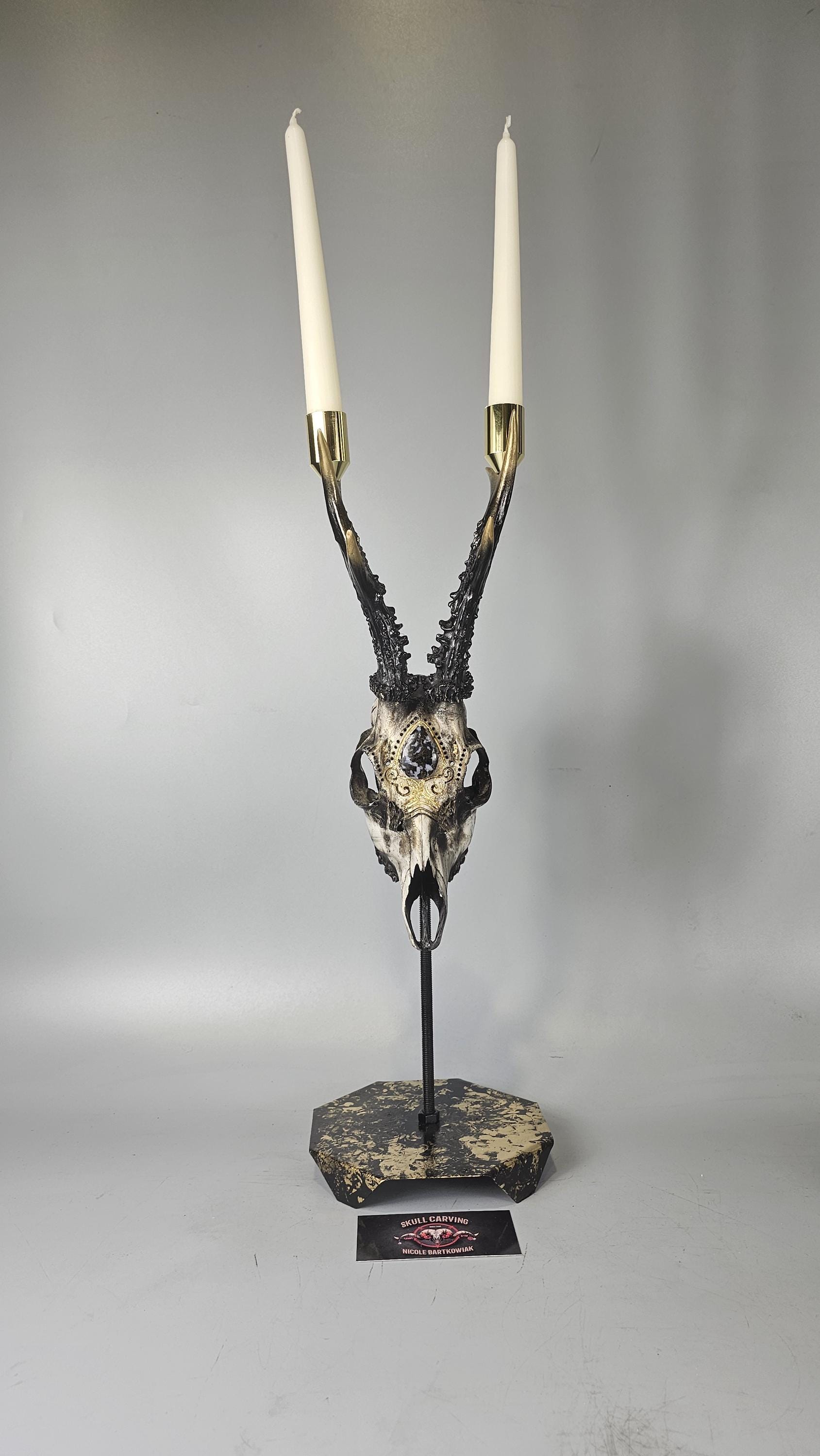Real Roe Deer Skull Art With Engraved Design and Cabochon Brown