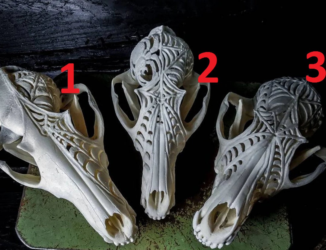 彫刻されたキツネの頭蓋骨：蜘蛛の巣のデザイン、異教の祭壇の装飾