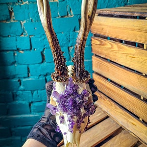Amethyst Crystal Roe Deer Skull: Wicca Witch Altar Decor