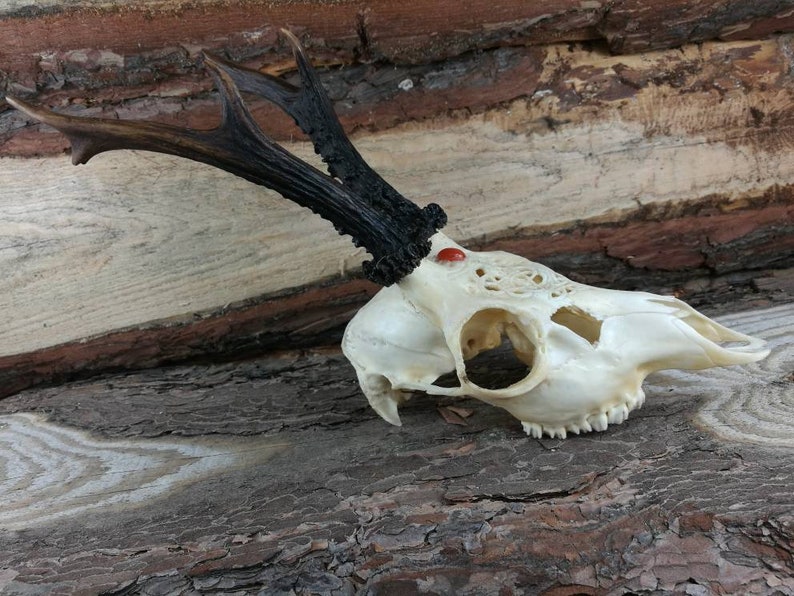 Made to order Real Roe deer skull with engraved ornaments carving gift girlfriend filigree buck unique crystal stone carnelian cornelian