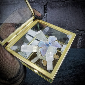 May include: A glass display case with a delicate blue butterfly specimen and clear crystal formations. The case is made of gold-toned metal and has a hinged lid.