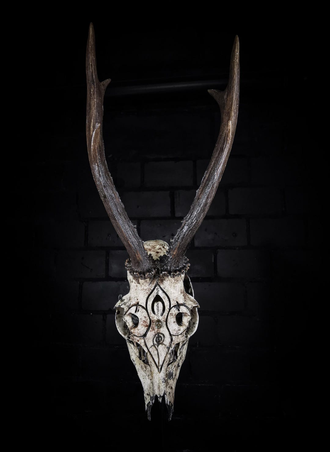 Made to Order Real Roe Deer Skull Triple Goddess Wicca Carving Filigree ...