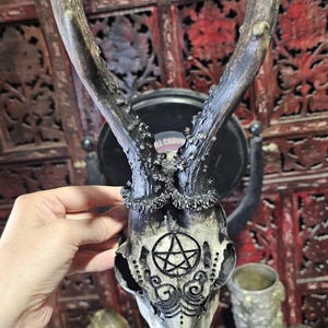 Può includere: Un teschio di cervo bianco con corna nere e intricati disegni in bianco e nero, tra cui un pentagramma, sul davanti. Il teschio è montato su una parete di legno.