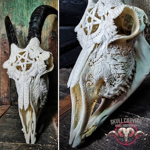 Young goat skull with ornaments pentagram customized design flowers roses evil Satan Samael pentacle carving real bone gift idea wall decor