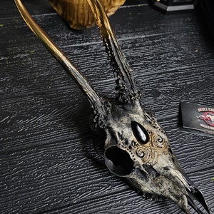 Carved Skull, Real Animal Skull Carving, Oddities and Curiosities, Gothic Home Decor, Witchy Room Decor, Taxidermy Art, Engraved Roe Deer