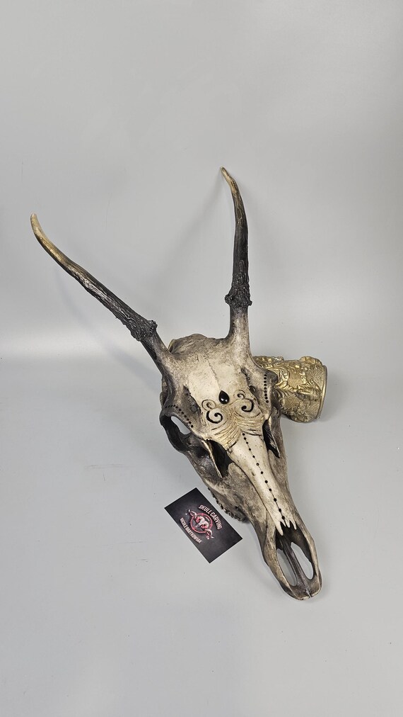 鹿 骨頭 オニキスカボションの彫刻された鹿の頭蓋骨 - ヨーロッパ