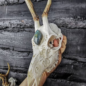 Può includere: Un teschio di cervo bianco con intagli intricati e una pietra preziosa blu incastonata nell'orbita. Il teschio è tenuto in una mano e le corna puntano verso l'alto. Lo sfondo è una superficie di legno scuro.