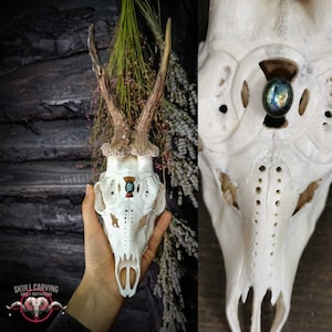 Engraved Roe Deer Skull: Labradorite Triple Moon Wiccan Decor (LED)