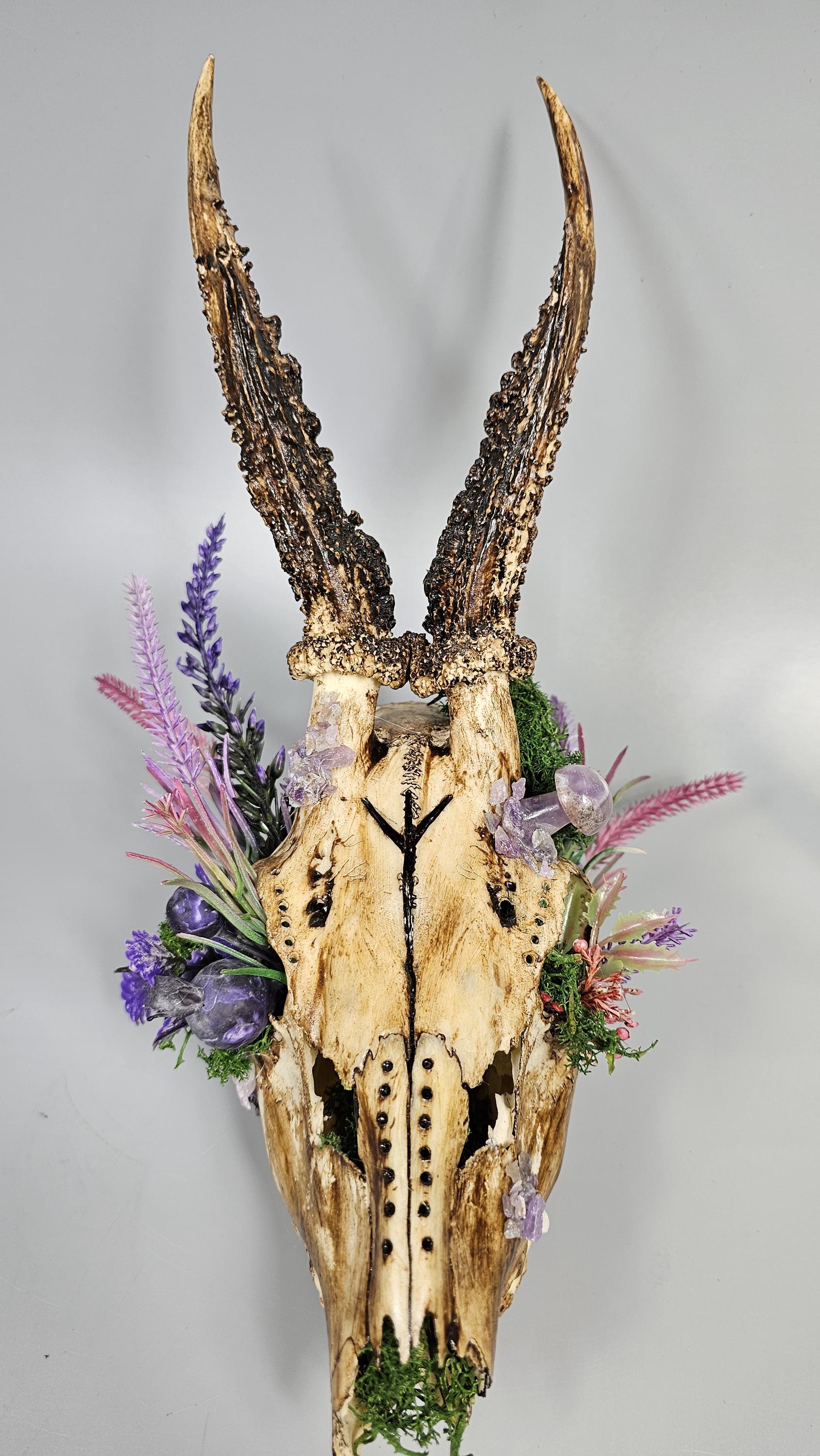 Roe Deer Skull With Amethyst Crystals: Norse Pagan Decor - Etsy