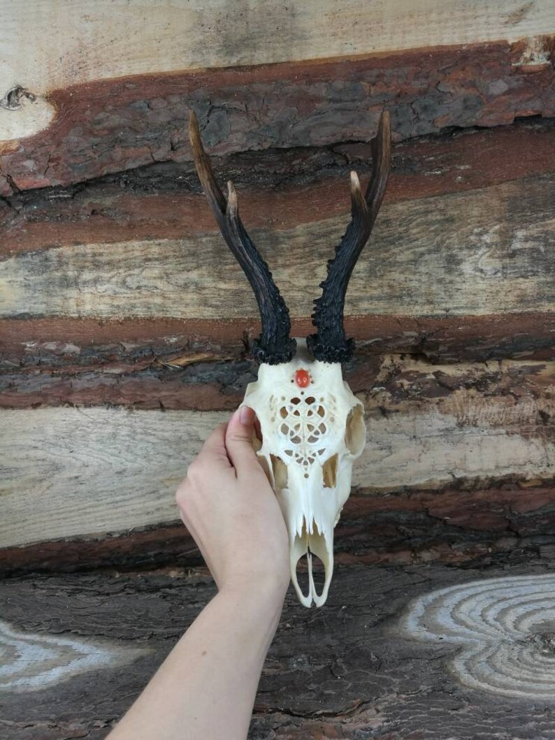 Made to order Real Roe deer skull with engraved ornaments carving gift girlfriend filigree buck unique crystal stone carnelian cornelian
