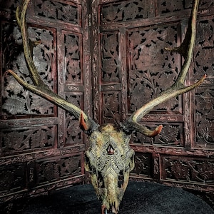 Engraved Fallow Deer Skull with Antlers: Red Bull Eye Stone Ornament