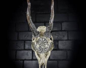 Engraved Roe Deer Skull: Aegishjalmur & Vegvisir Viking Design - Etsy