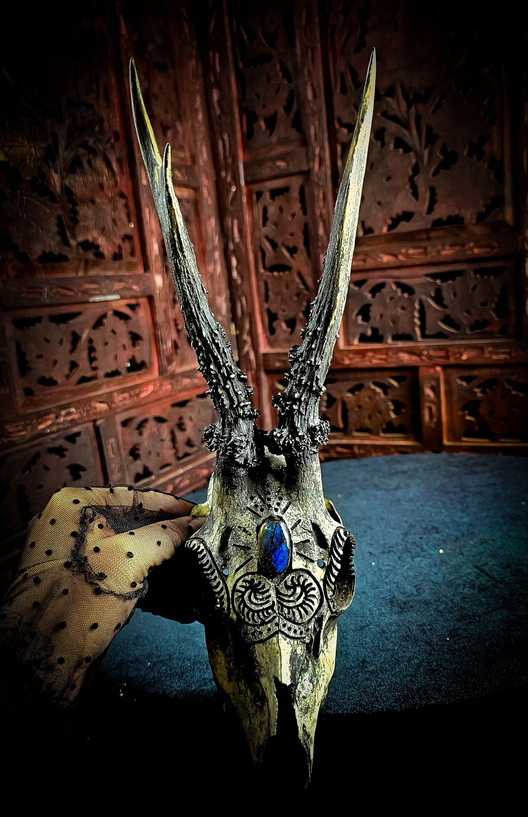 Real Roe Deer Skull Art With Engraved Design Ornaments Blue Labradorite ...