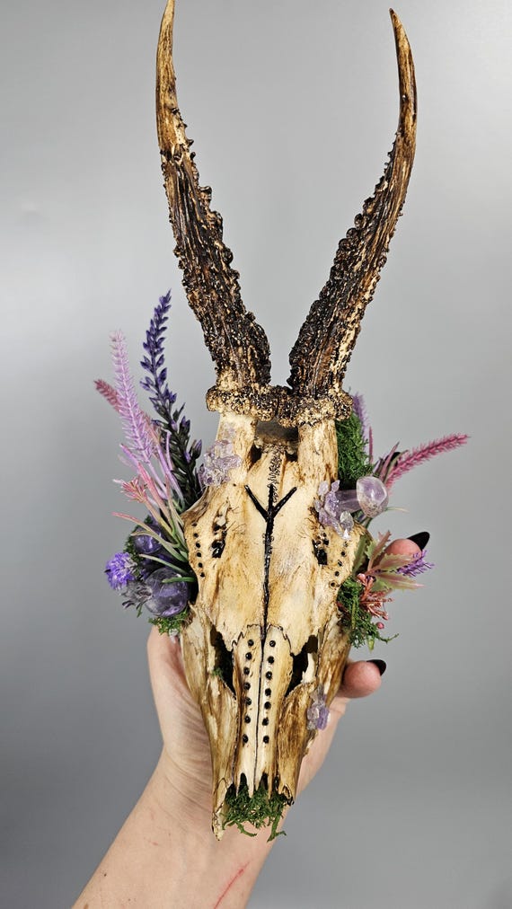 Roe Deer Skull With Amethyst Crystals: Norse Pagan Decor - Etsy